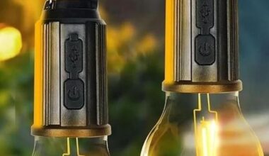 Decorative Hanging Bulb with 3 Modes Tent Lamp for Camping Pac of 2