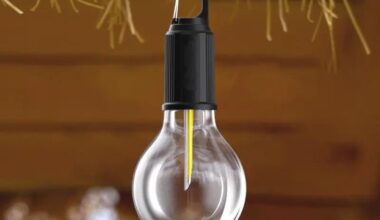 Decorative Hanging Bulb with 3 Modes Tent Lamp for Camping Pack of 1