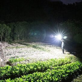 Portable Rechargeable Torch LED Flashlight - Image 5