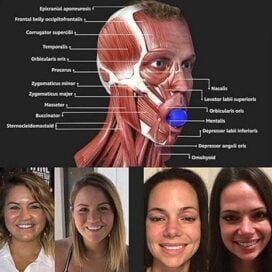 Jawline Exerciser Tool Men & Women (Pack Of 1) - Image 4