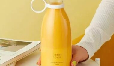 Electric Portable Mini Juicer Bottle