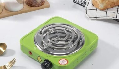 Flameless Electric Cooking Stove (Muticolor)