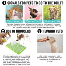 Natural Potty Training Spary for Dog & Cat (Pack of 2) 30ml each - Image 4