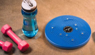Tummy Twister Abdominal ABS Exerciser
