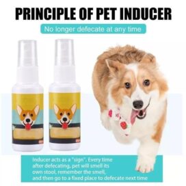 Natural Potty Training Spary for Dog & Cat (Pack of 2) 30ml each - Image 5