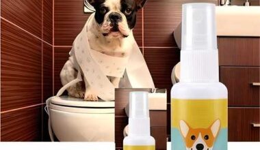 Natural Potty Training Spary for Dog & Cat (Pack of 2) 30ml each