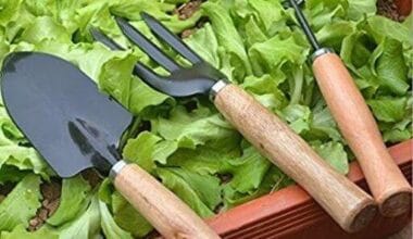 Gardening Tools kit Hand Cultivator, Small Trowel, Garden Fork (Set of 3)