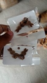 Brown Color Teddy Bear Stud Earrings (Pack of 2) - Image 6