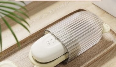Waterproof 2-in-1 Soap Dish With Lid Soap Storage Box