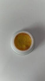 Cockroach Killer Gel (Pack of 2) - Image 3