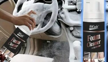 100ml Foam Cleaner for Car (Pack of 1)