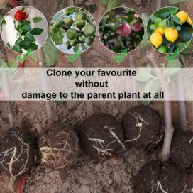 Reusable Plant Root Growth Balls with Locks (Pack of 5) - Image 4