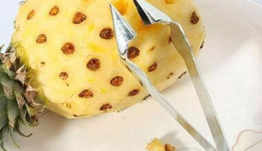 Stainless Steel Pineapple Eye Remover Clip�