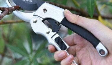 Pruning Shears