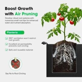 Geofabric Grow Bag for Planting - Image 4