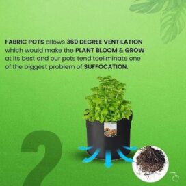 Geofabric Grow Bag for Planting - Image 3