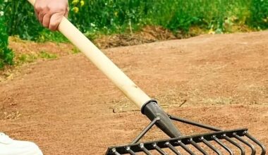 Heavy - Duty Nine Tine Garden Hoe