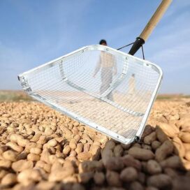 Heavy Shovel for Soil Lifting - Image 2