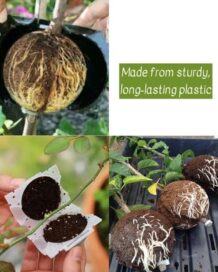 Reusable Plant Root Growth Balls with Locks (Pack of 5) - Image 10