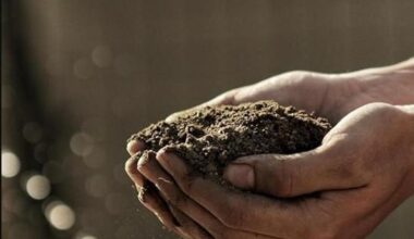 Organic Vermicompost 400gm