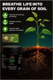 Soil Activator 100 gm Pack of 1 | Organic Soil Conditioner & Root Growth Booster for Plants - Image 2
